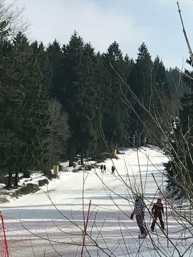 גוסלר Hahnenklee Ferienpark 7-511 מראה חיצוני תמונה